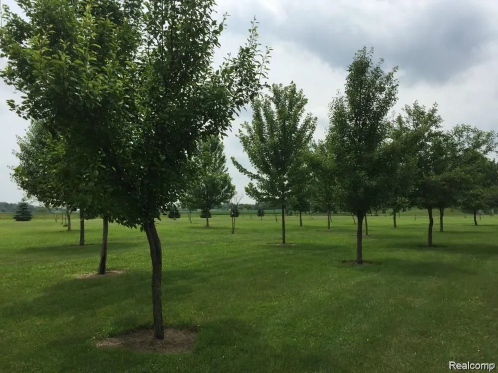 6350 Wolf Road Burnside Township, MI 48416