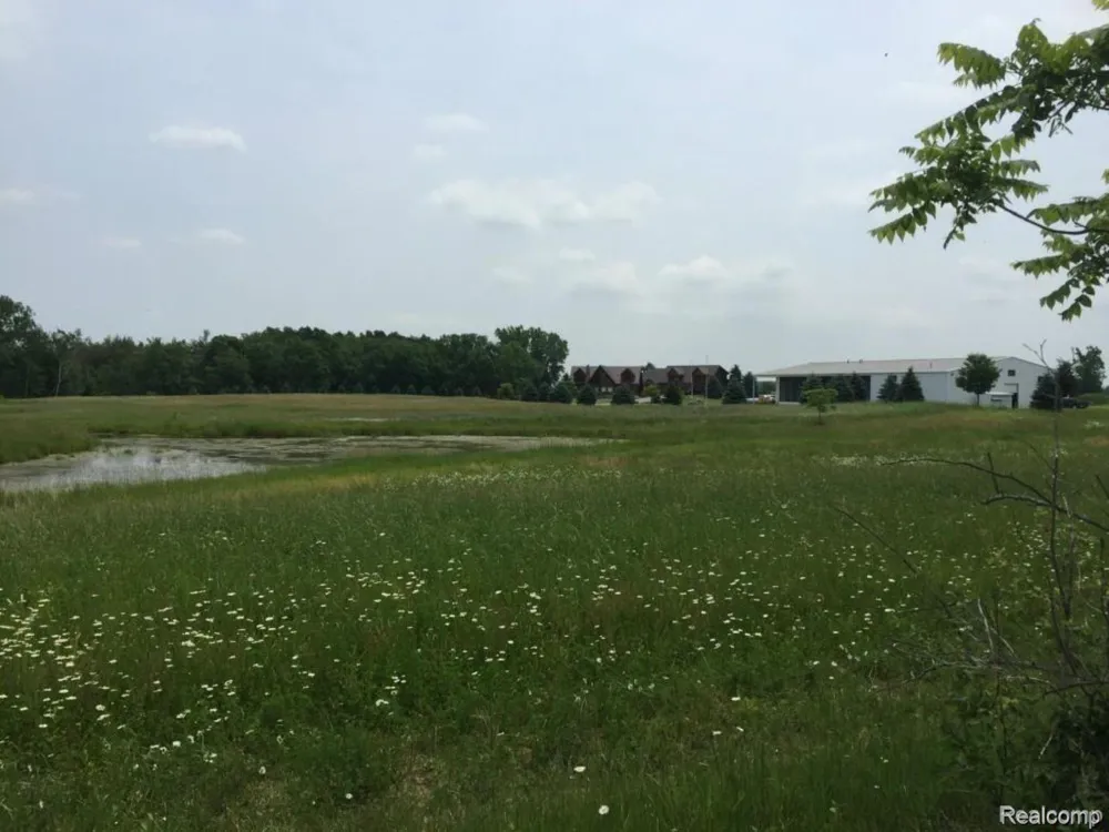 6350 Wolf Road Burnside Township, MI 48416