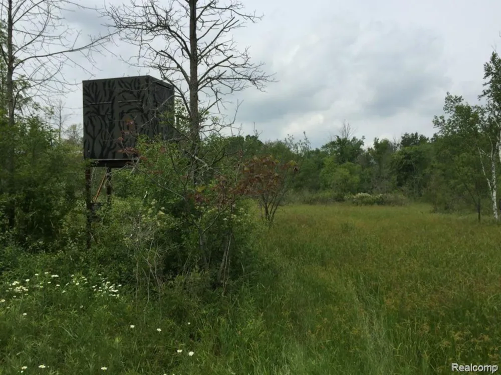 6350 Wolf Road Burnside Township, MI 48416