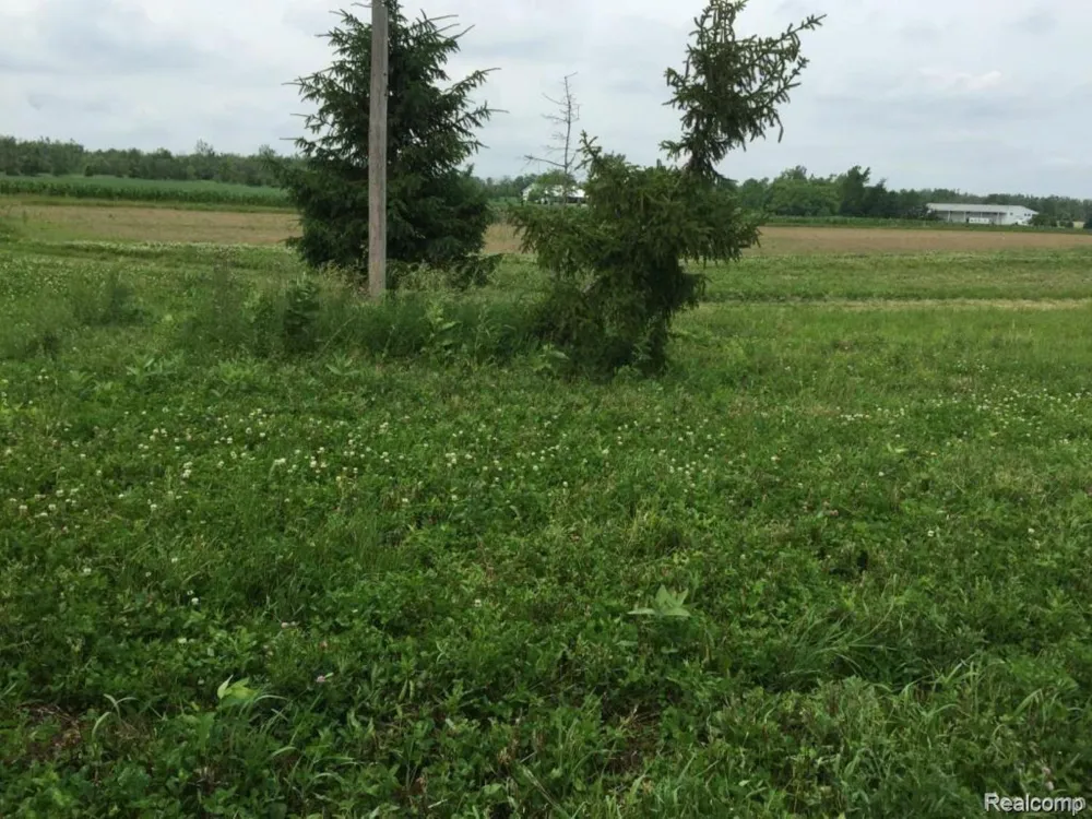 6350 Wolf Road Burnside Township, MI 48416