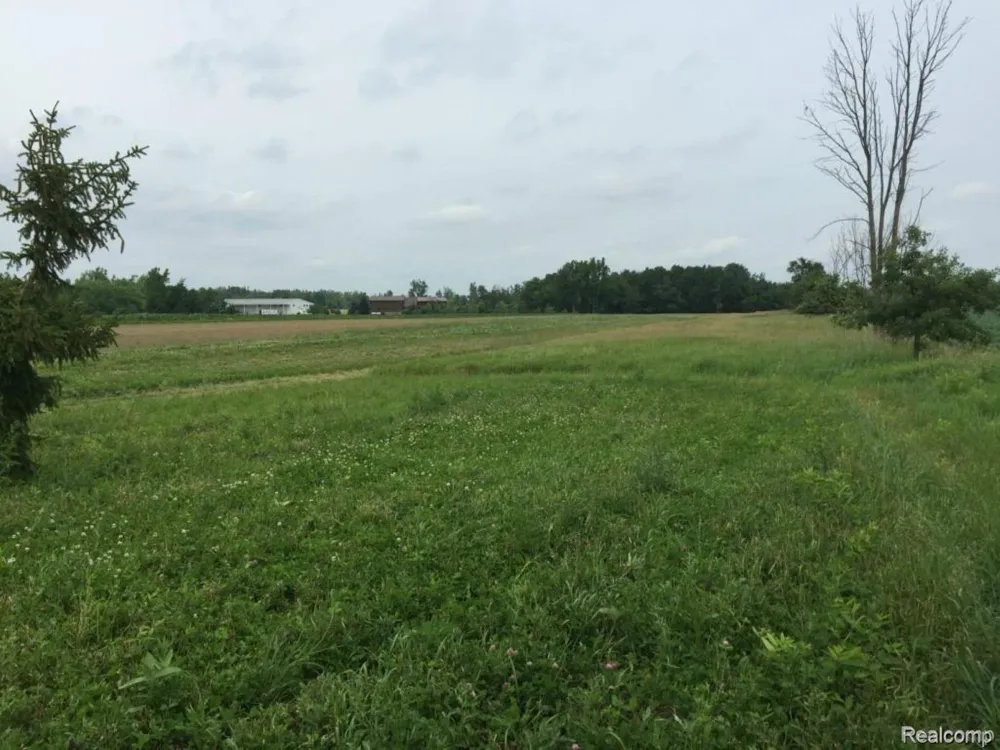 6350 Wolf Road Burnside Township, MI 48416