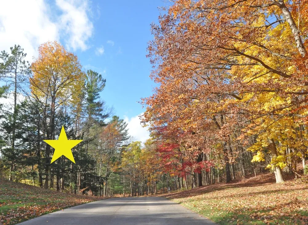 3 Brook Hill Cottages Glen Arbor Township, MI 49636