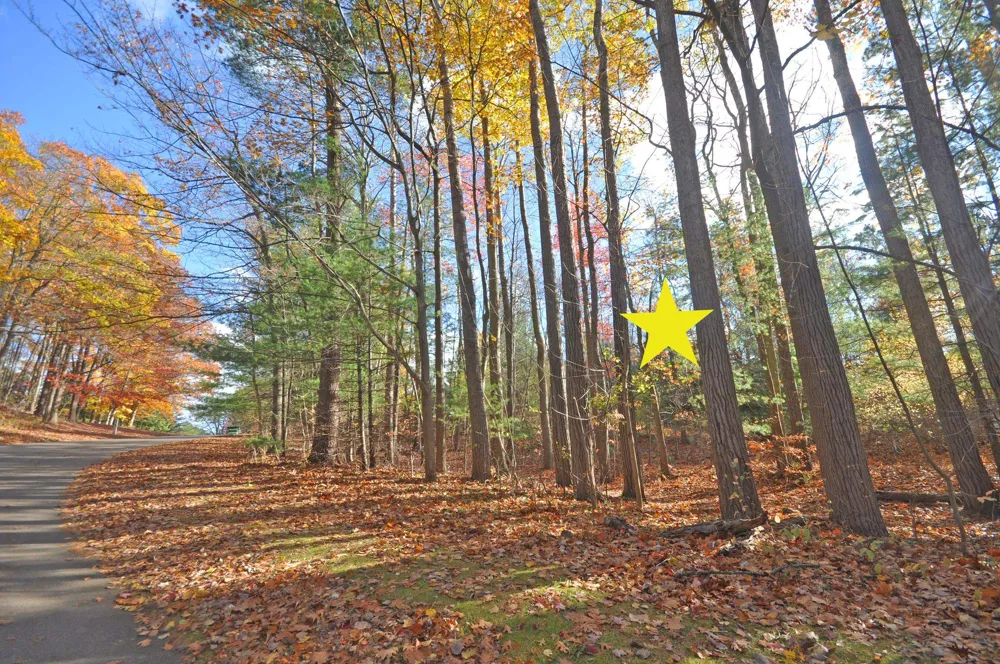 3 Brook Hill Cottages Glen Arbor Township, MI 49636