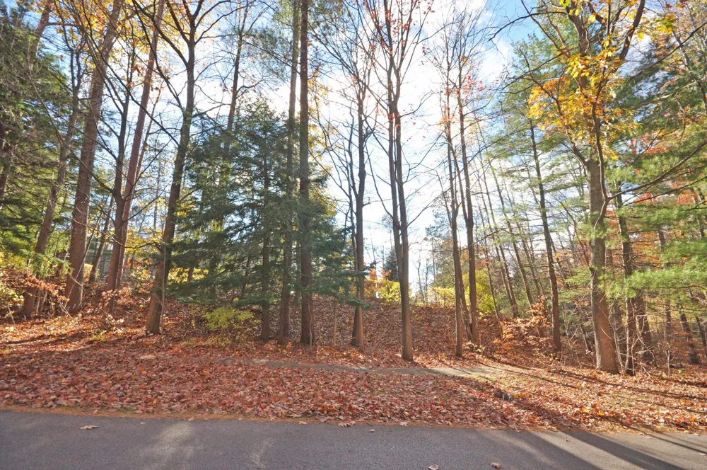 3 Brook Hill Cottages Glen Arbor Township, MI 49636