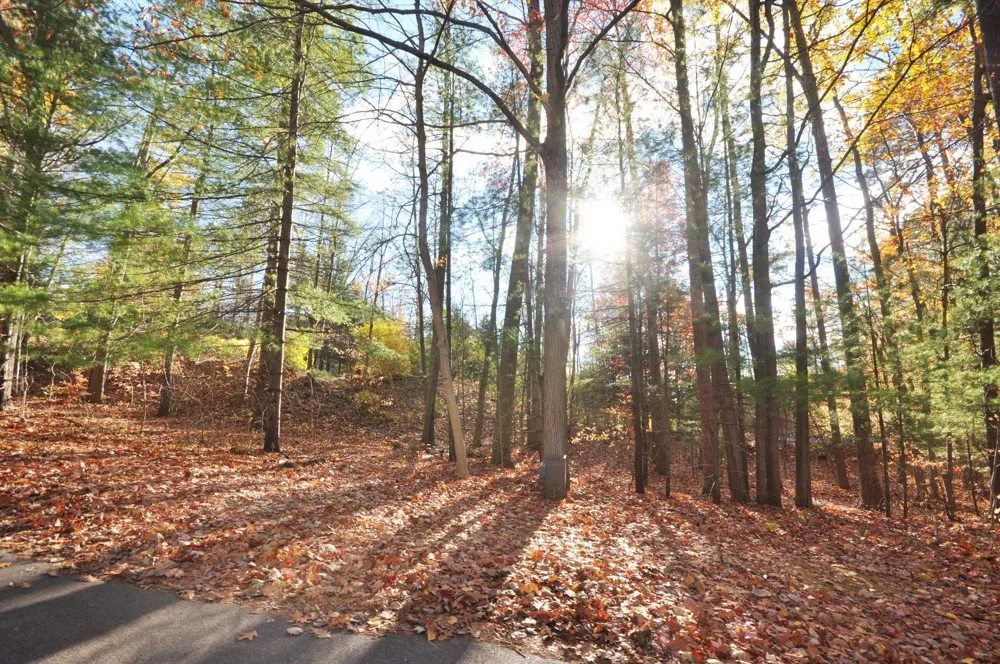 3 Brook Hill Cottages Glen Arbor Township, MI 49636