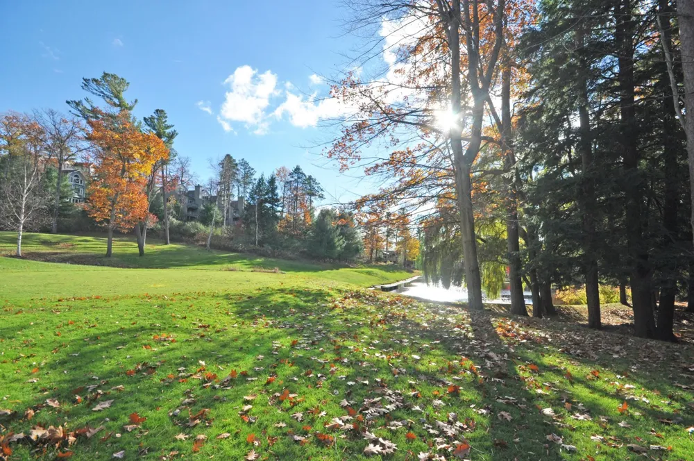 3 Brook Hill Cottages Glen Arbor Township, MI 49636
