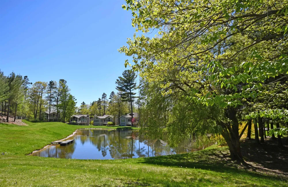 3 Brook Hill Cottages Glen Arbor Township, MI 49636