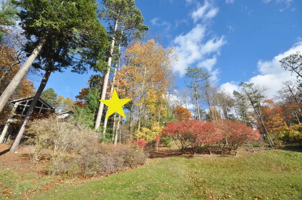 3 Brook Hill Cottages Glen Arbor Township, MI 49636