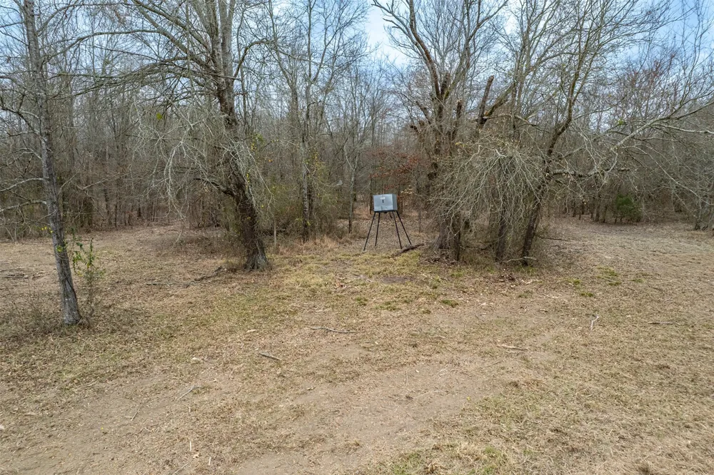 139 NW County Road #1061 Talco, TX 75487