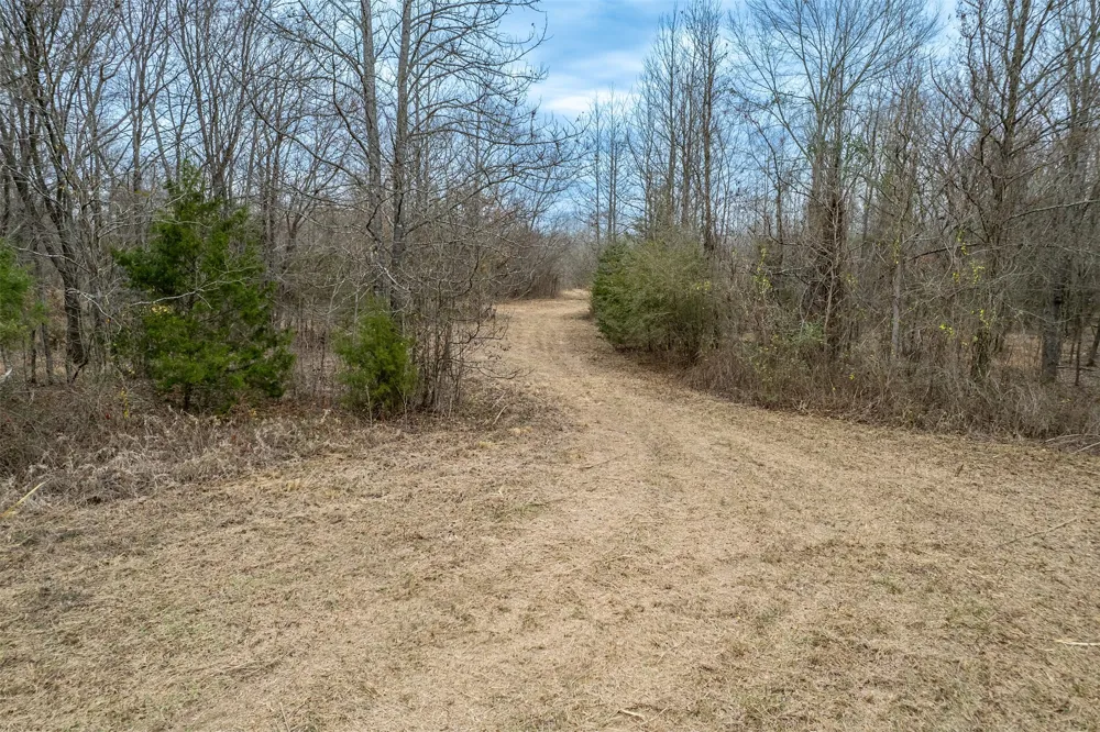 139 NW County Road #1061 Talco, TX 75487