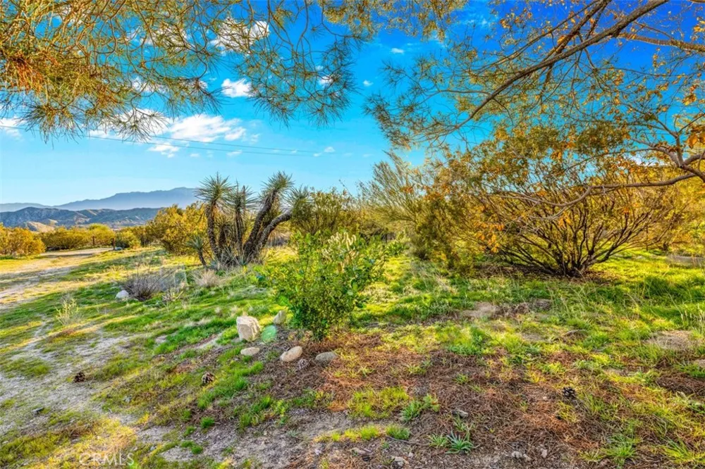 50310 Ash Morongo Valley, CA 92256