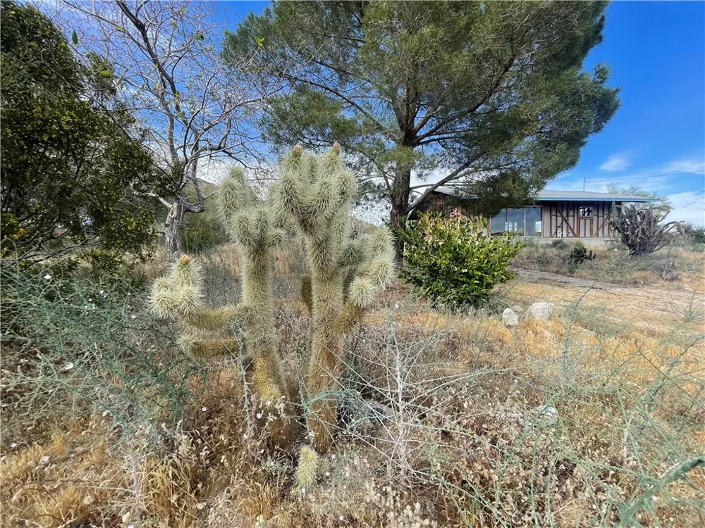 50310 Ash Morongo Valley, CA 92256