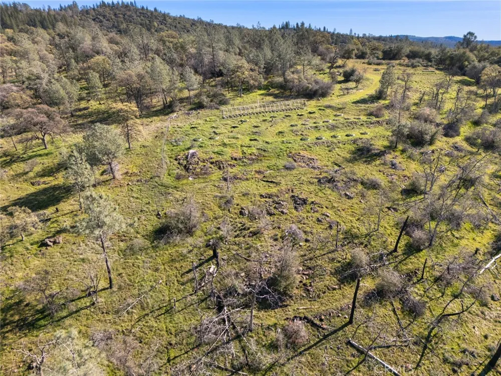 14740 Begonia Way Oregon House, CA 95962