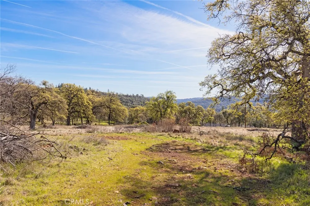 14740 Begonia Way Oregon House, CA 95962