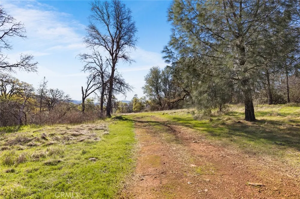 14740 Begonia Way Oregon House, CA 95962