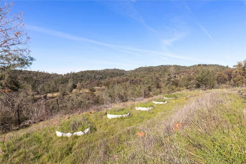 14740 Begonia Way Oregon House, CA 95962