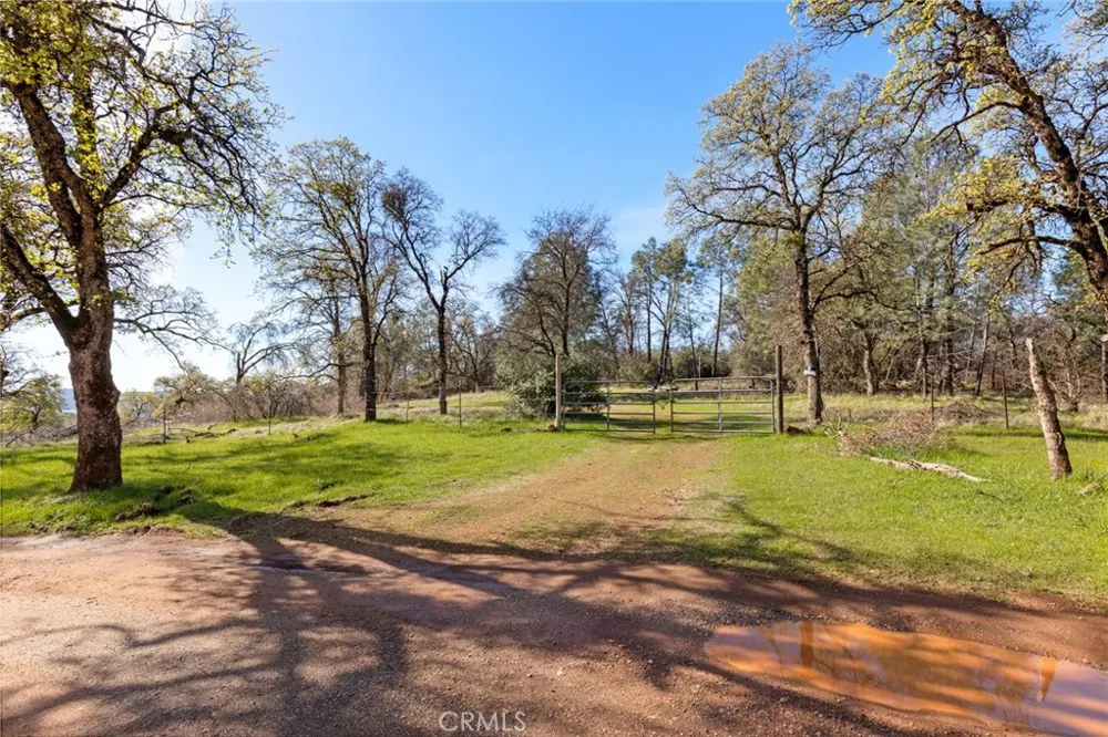 14740 Begonia Way Oregon House, CA 95962