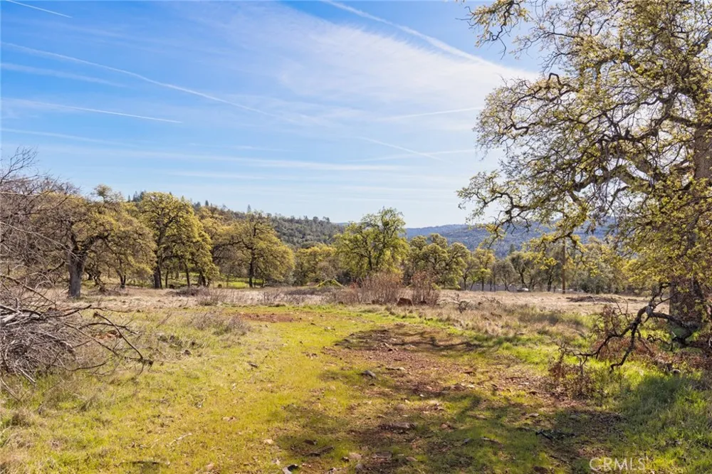 14740 Begonia Way Oregon House, CA 95962