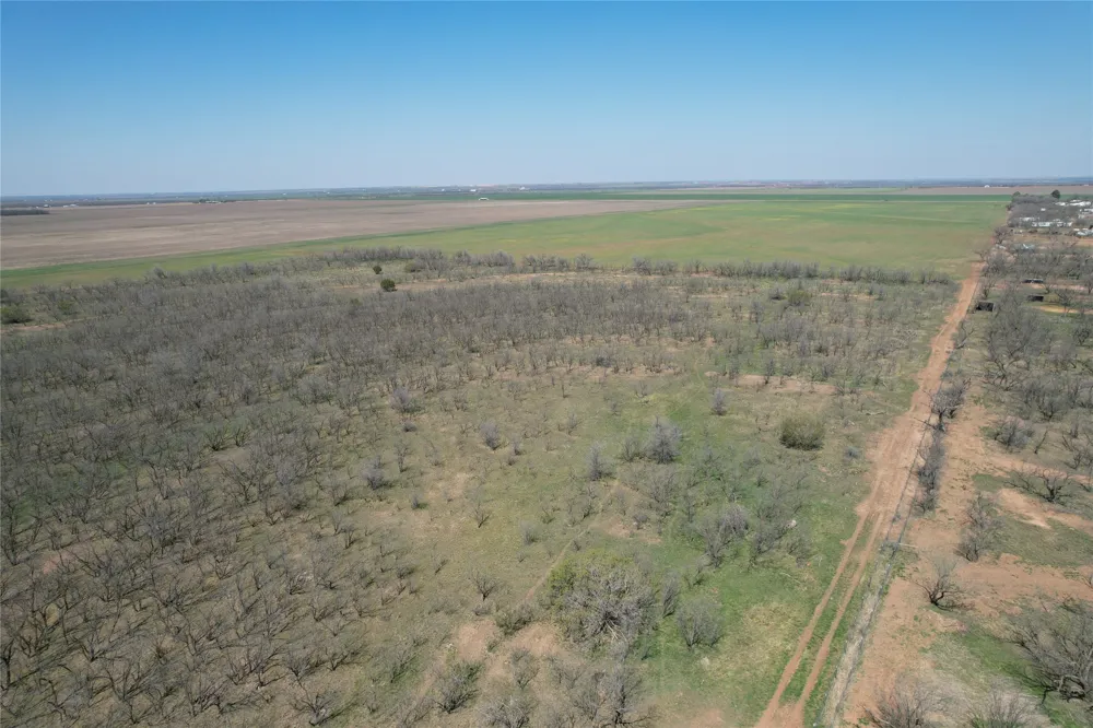 CR 409 Merkel, TX 79536