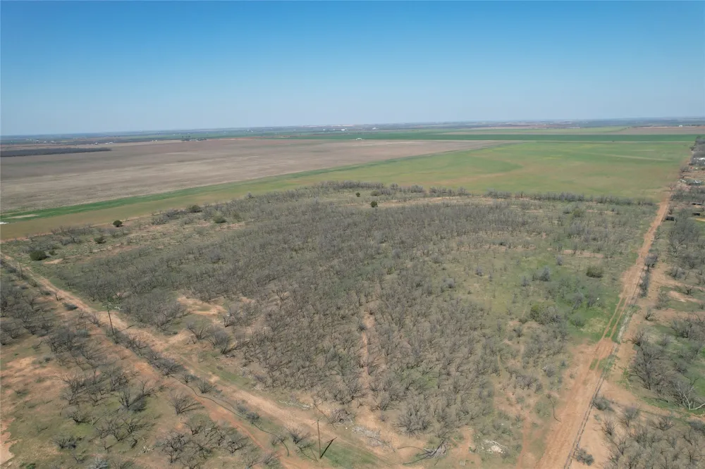 CR 409 Merkel, TX 79536