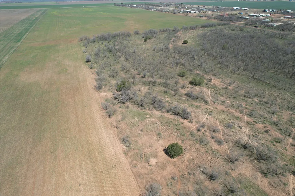 CR 409 Merkel, TX 79536