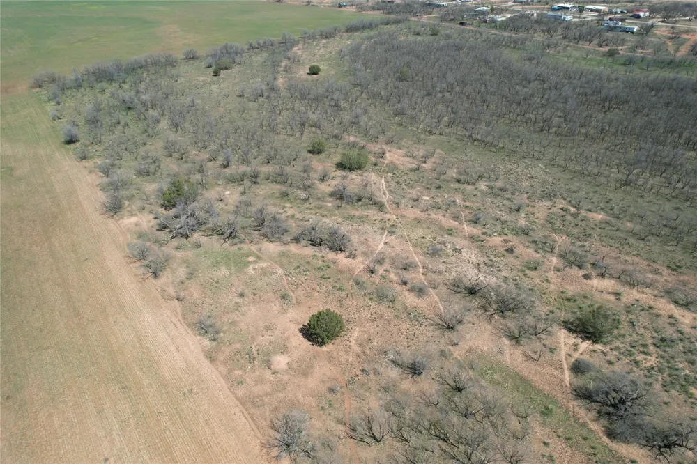 CR 409 Merkel, TX 79536