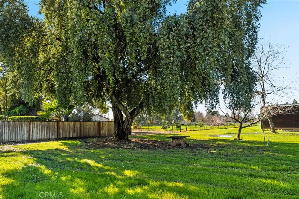 1041 Washington Willows, CA 95988