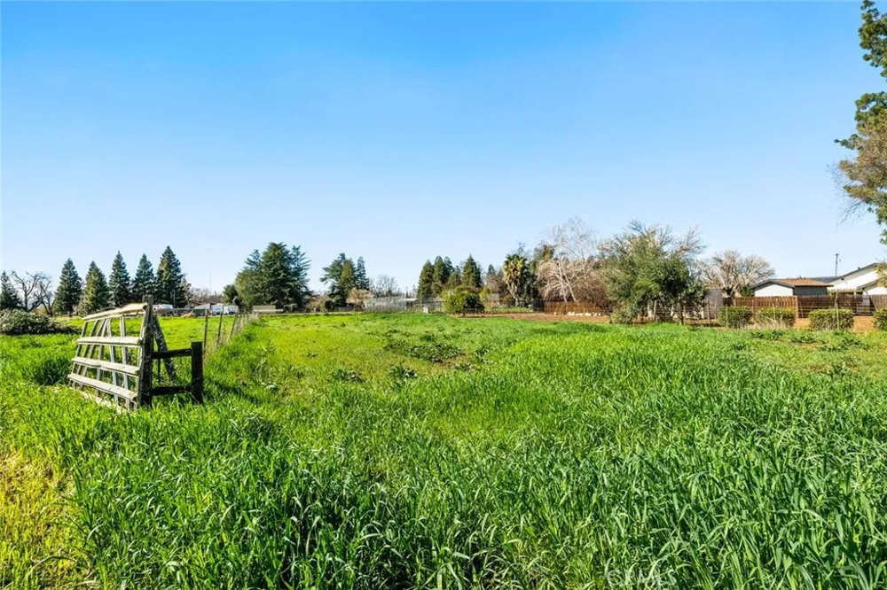 1041 Washington Willows, CA 95988