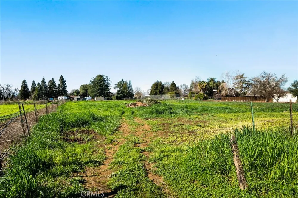 1041 Washington Willows, CA 95988