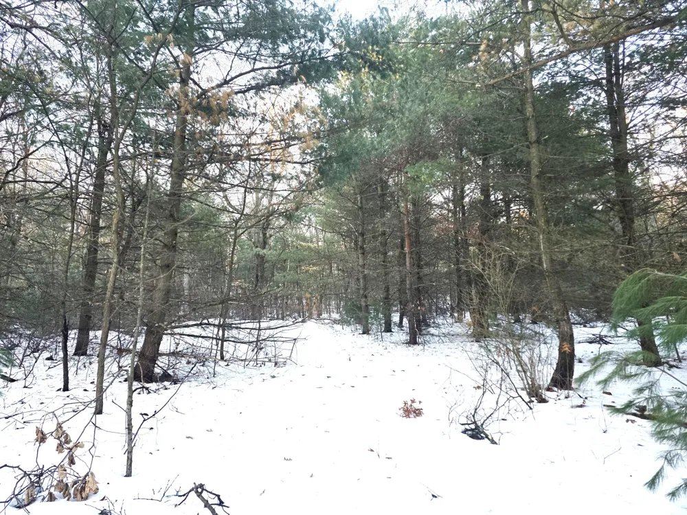3696 S Locust Avenue Big Prairie Township, MI 49337