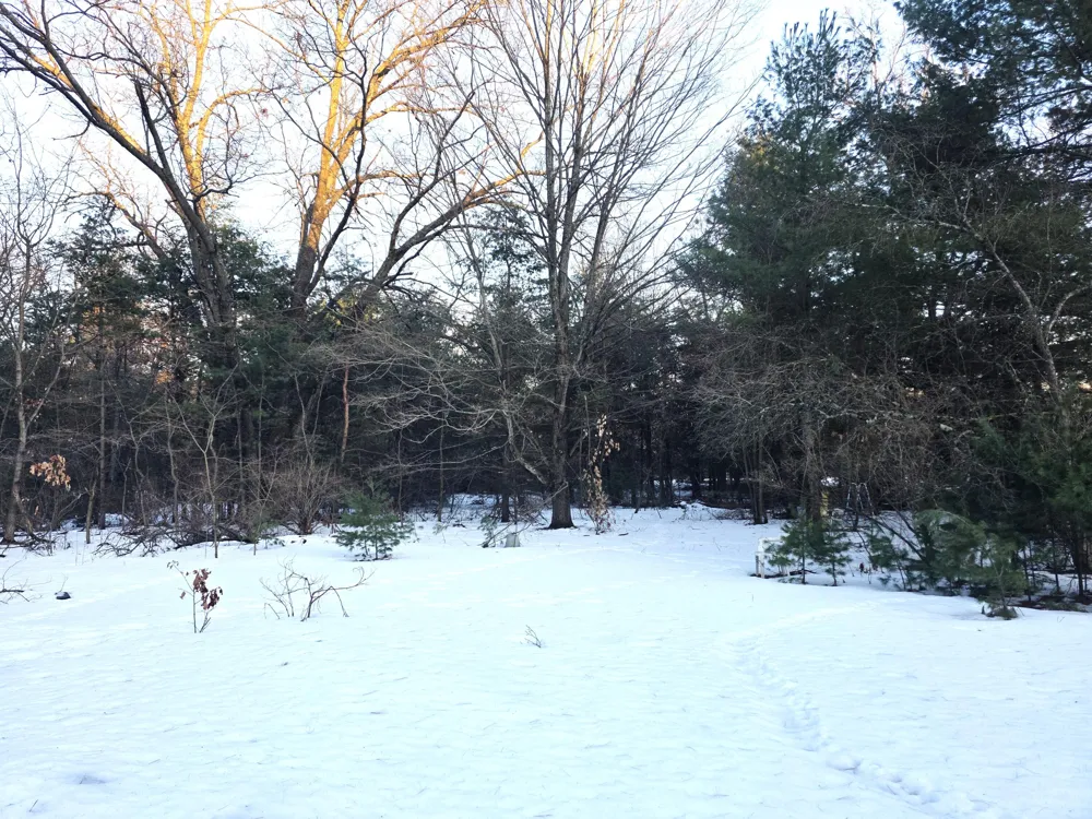 3696 S Locust Avenue Big Prairie Township, MI 49337
