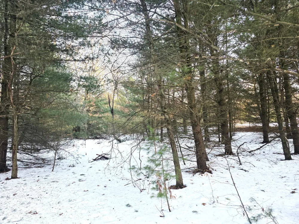 3696 S Locust Avenue Big Prairie Township, MI 49337