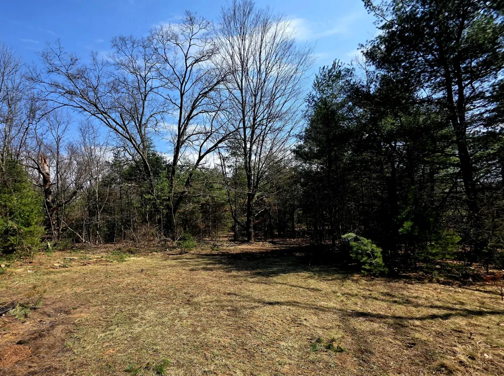 3696 S Locust Avenue Big Prairie Township, MI 49337