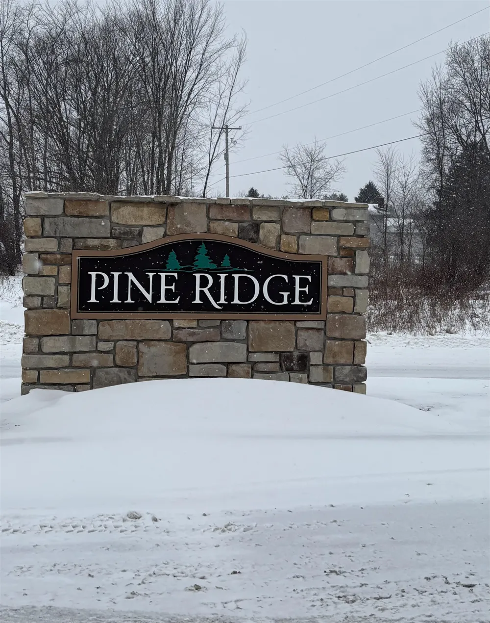 Pine Ridge Drive Deerfield Township, MI 48858
