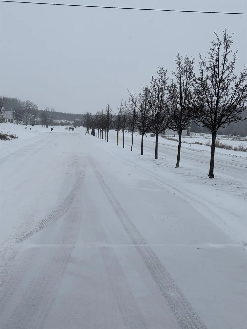 Pine Ridge Drive Deerfield Township, MI 48858