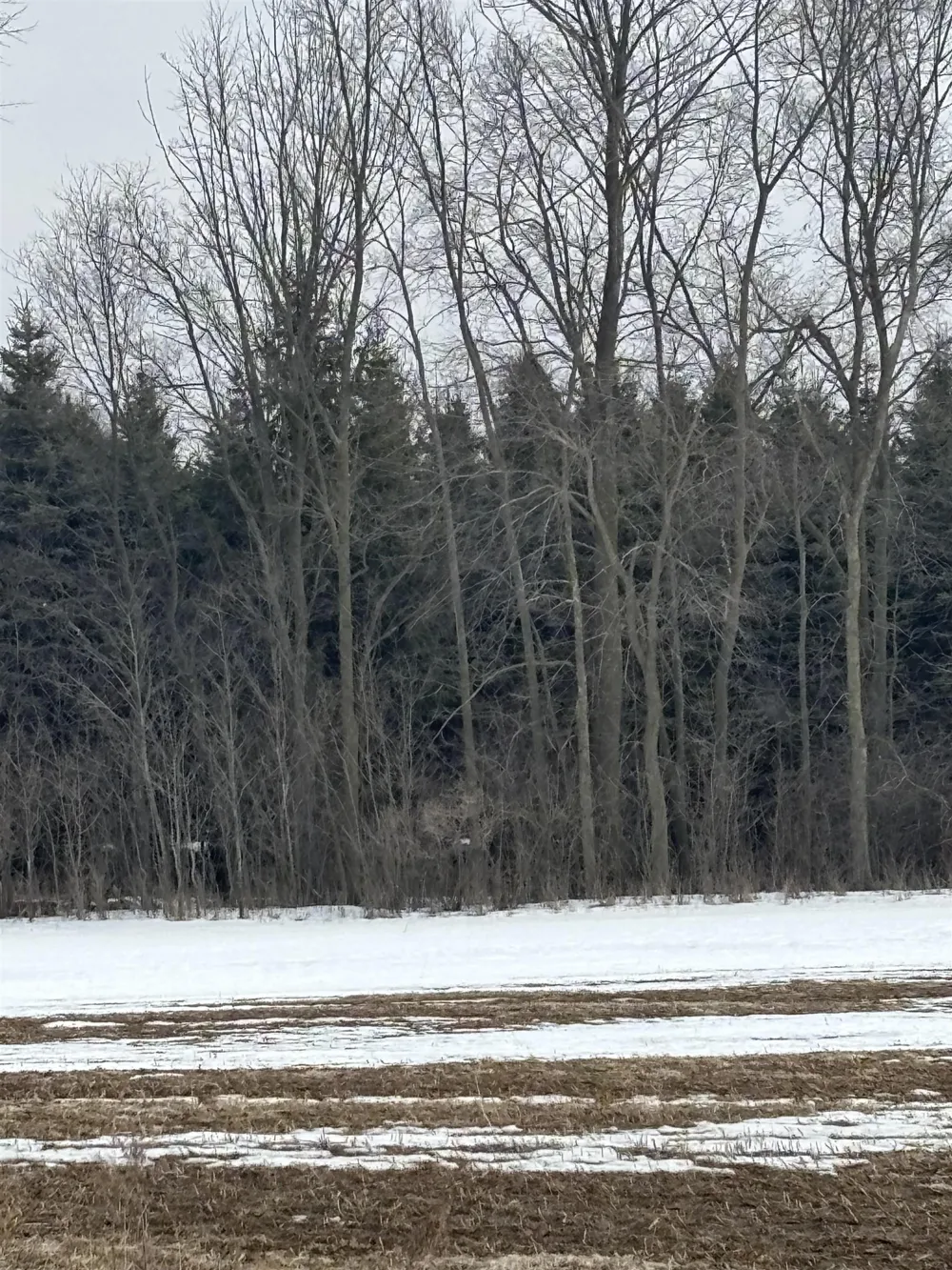 Pine Ridge Drive Deerfield Township, MI 48858