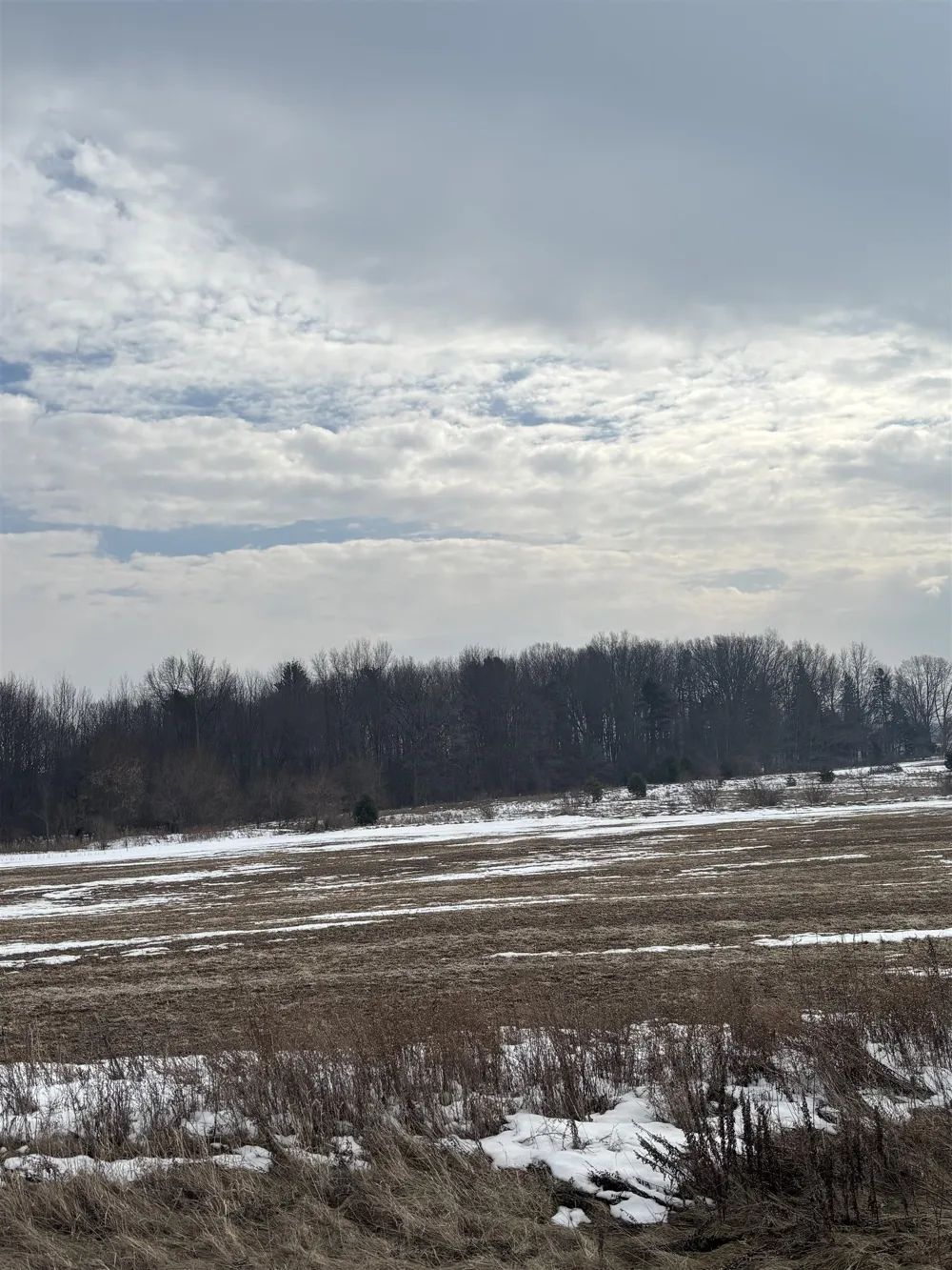 Pine Ridge Drive Deerfield Township, MI 48858