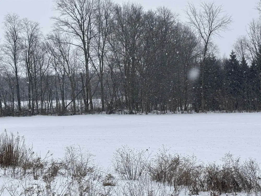 Pine Ridge Drive Deerfield Township, MI 48858