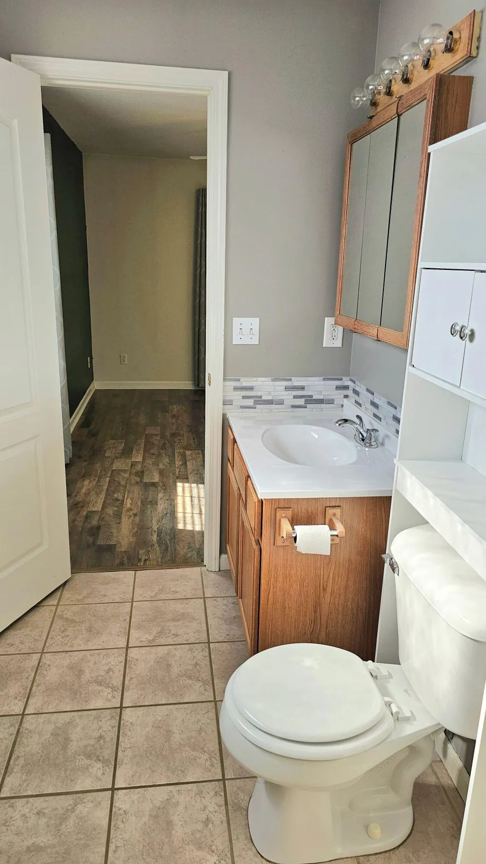 10513 Loughrea Lane Somerset Township, MI 49233