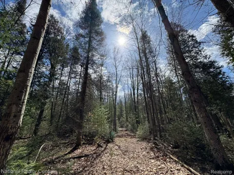 4233 Hardacre Trail