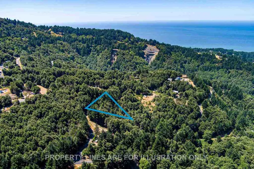 91 Walker Way Whitethorn, CA 95589