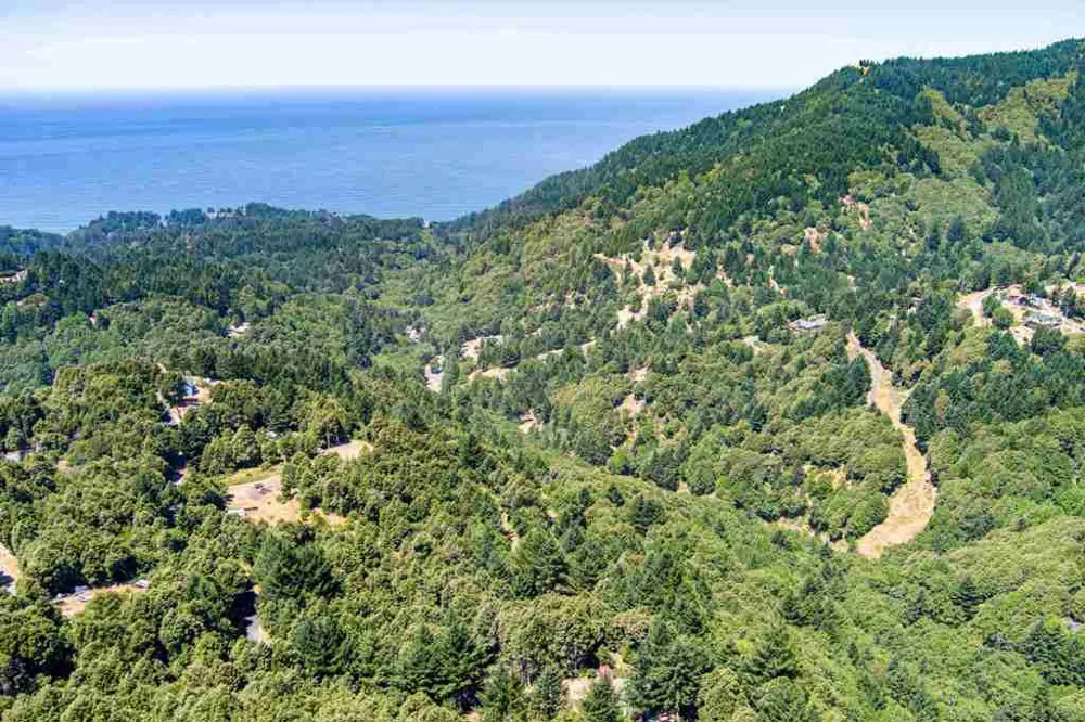 91 Walker Way Whitethorn, CA 95589
