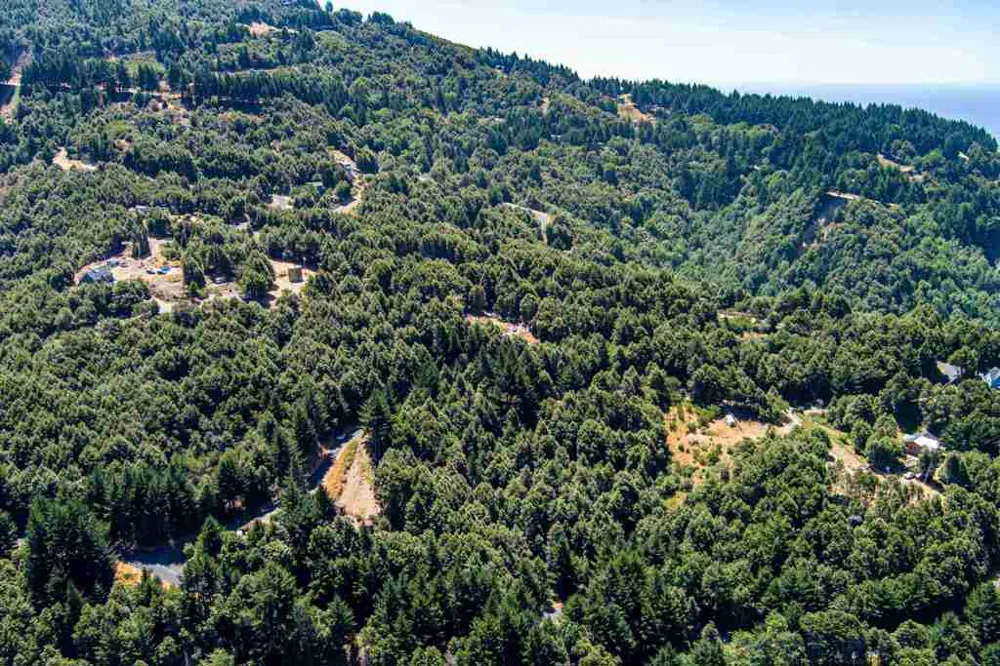 91 Walker Way Whitethorn, CA 95589