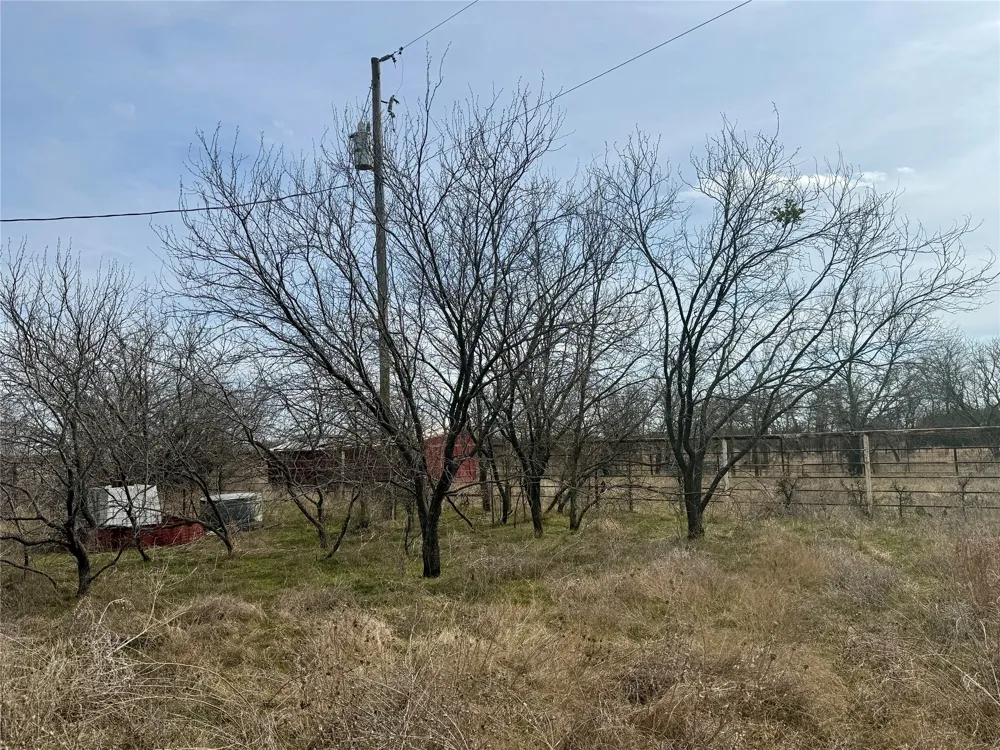 531 FM 1744 Carlton, TX 76436