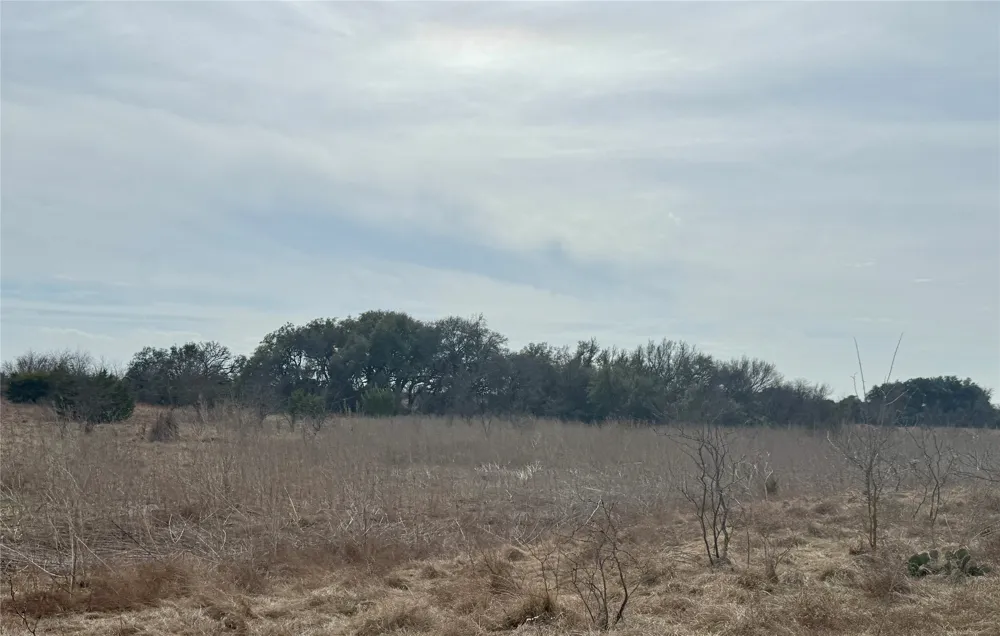 531 FM 1744 Carlton, TX 76436
