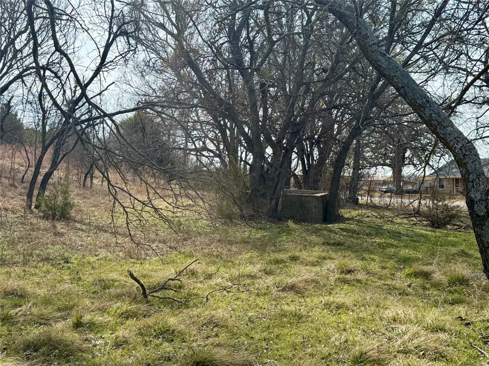 531 FM 1744 Carlton, TX 76436