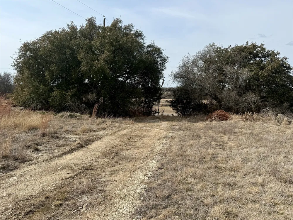 531 FM 1744 Carlton, TX 76436