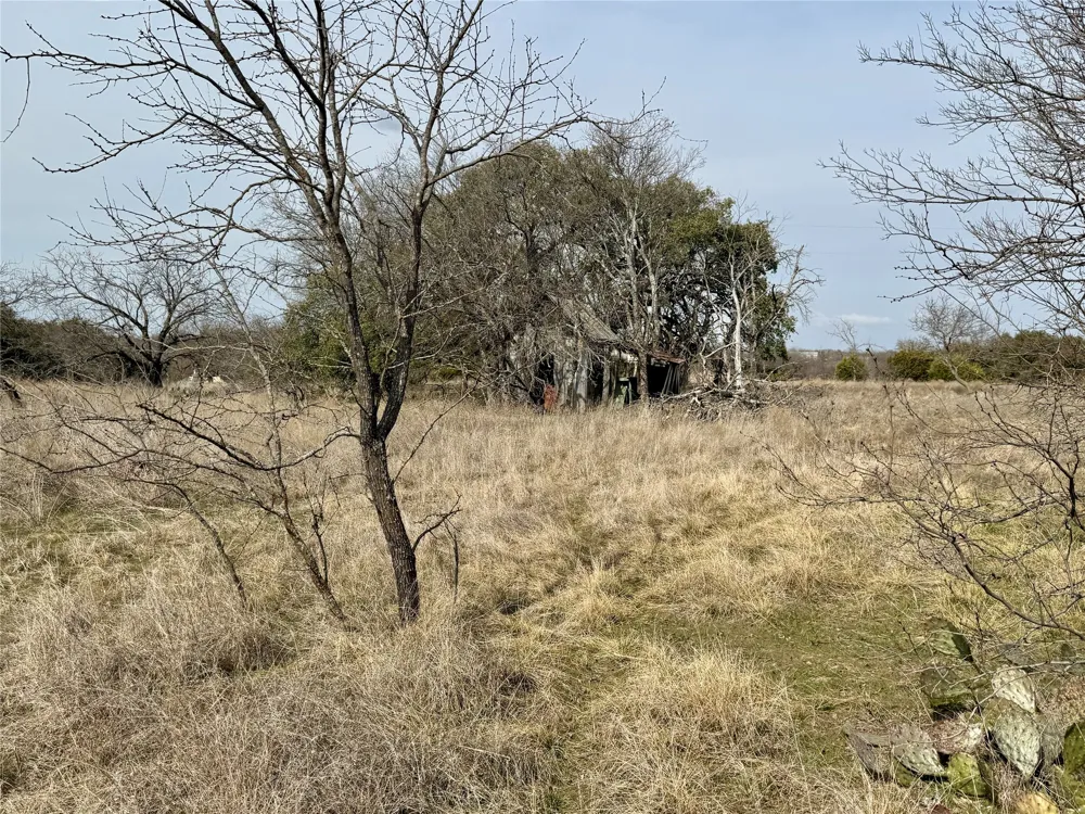531 FM 1744 Carlton, TX 76436