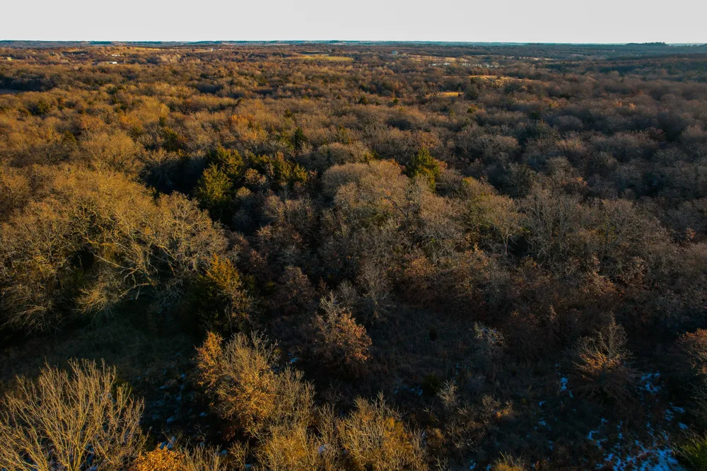 Dye Mound Rd Forestburg, TX 76239