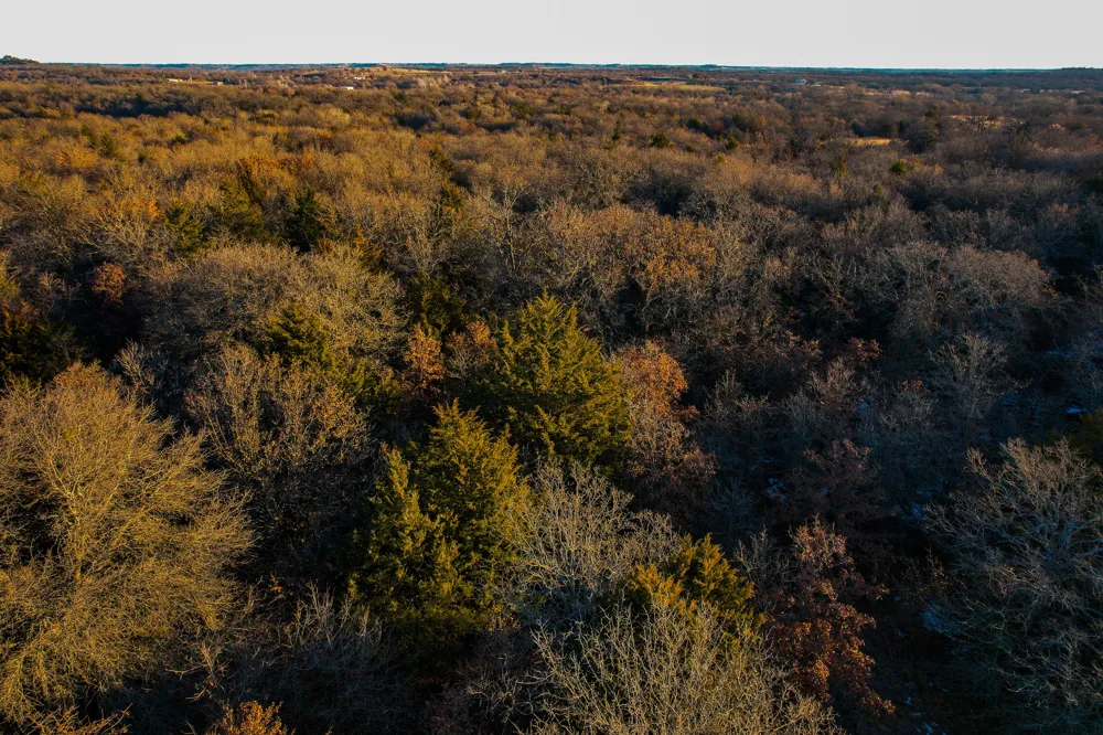 Dye Mound Rd Forestburg, TX 76239